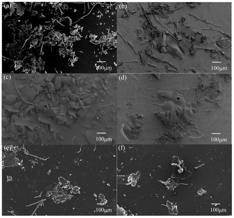 SEM photographs of wear debris after sliding wear tests of various surface-treated HF/PA1010 biomass composites: (a) PA1010; (b) HF; (c) HF-S1; (d) HF-S2; (e) HF-S3-20 and (f) HF-S3-30.