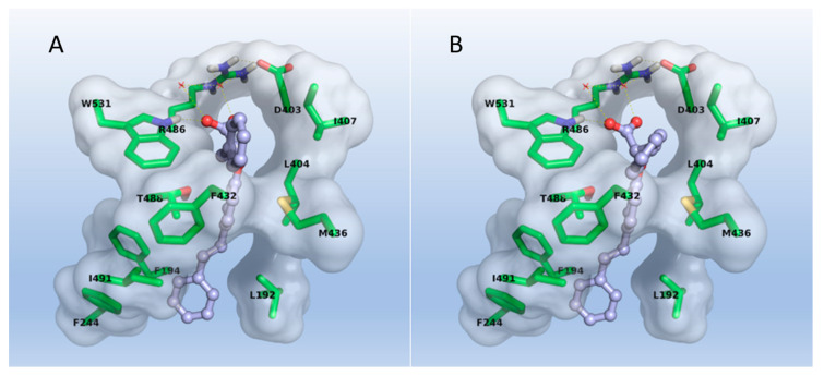 Docking poses of (R), (A), and (S), (B) enantiomer of compound 18 into the FAAH binding site.