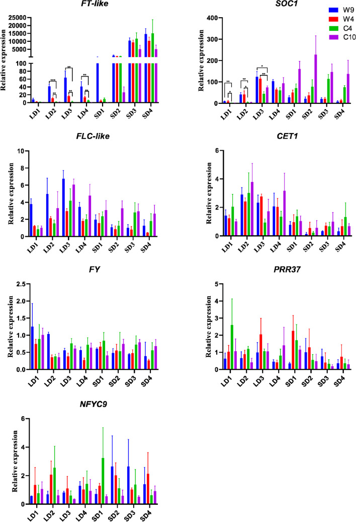 Expression of flowering-related genes in cannabis under LD and SD conditions. LD1-LD4 represent four samples collected under long-day conditions, and SD1-SD4 represent four samples collected under short-day conditions. The data represent the means ± SDs. Significant differences were determined using GraphPad Prism 8 software (* indicates P < 0.05; ** indicates P < 0.01; *** indicates P < 0.001)