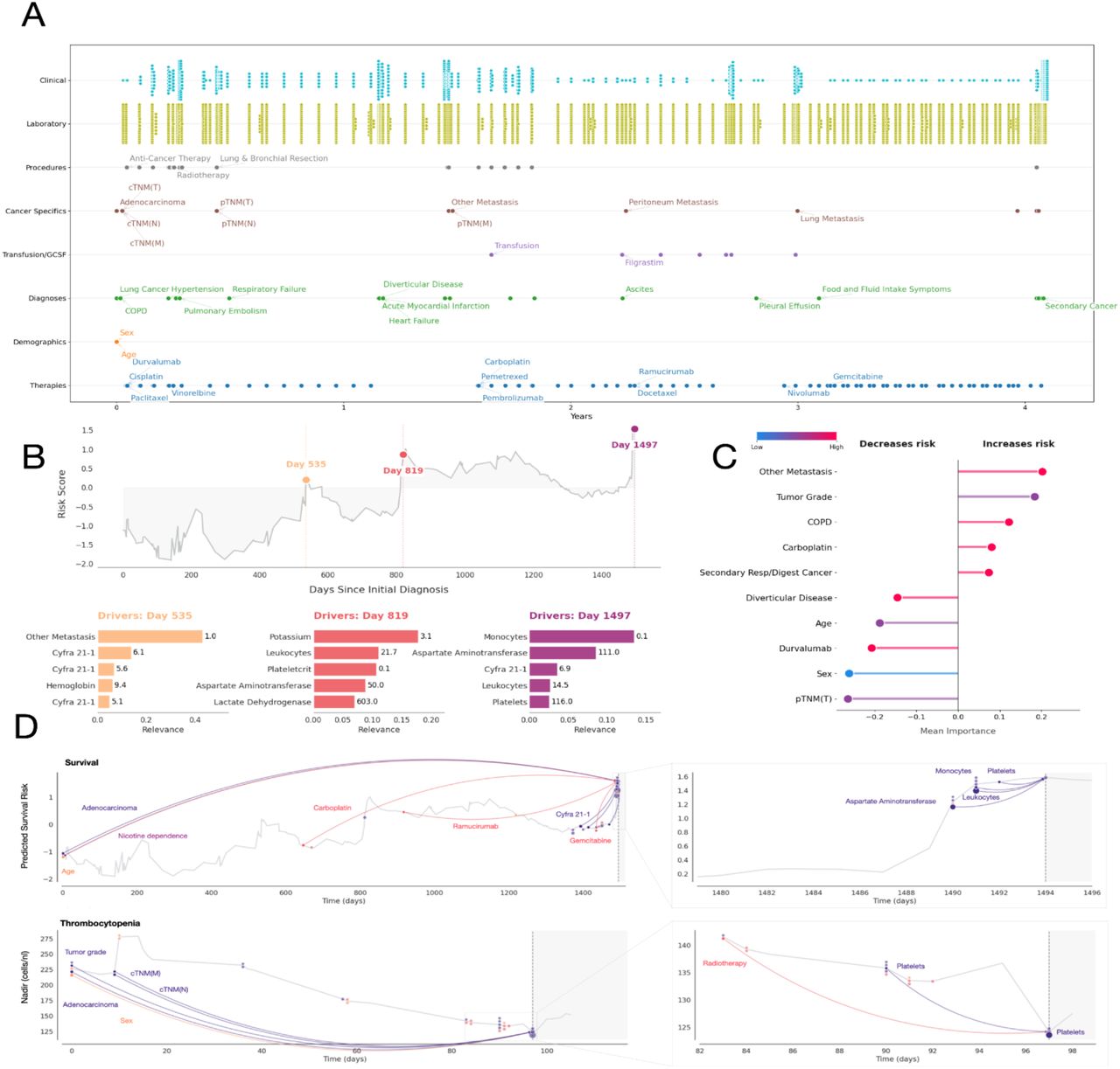 Comprehensive longitudinal analysis of a single patient with model predictions and LRP-based explanations.A: Timeline depicting the complete clinical trajectory from initial lung cancer diagnosis to death, structured by feature entities. The visualization captures disease evolution, therapeutic interventions, metastatic progression, and the occurrence of secondary malignancies, of which selected examples are shown. B: The line plot illustrates the predicted risk score (y-axis) over time since initial diagnosis (x-axis) for a representative patient. Three time points (Day 535, 819, and 1497) are highlighted. Below, bar charts for each selected time point display the five variables with the highest aggregated LRP scores, where the x-axis represents relevance magnitude and the y-axis lists the corresponding variables. C: A dot plot depicting mean LRP importance (x-axis) of the strongest positive and negative contributions to mortality risk prediction for the selected patient, color-coded by variable value (blue: low, red: high). Variables are ordered by their contribution to decreasing (left) or increasing (right) predicted risk. D: Longitudinal LRP-based explanations for two clinical outcomes (survival and 60-day nadir of platelets). For both outcomes, the left panel shows the full prediction trajectory until the explained timepoint (dashed vertical line) (x-axis: time in days; y-axis: predicted value or risk score), with the solid line representing the time of model prediction. Colored dots represent the top 30 patient characteristics that contribute most to the prediction. The right panel shows a zoomed view of the region immediately preceding the explained timepoint, highlighting the short-term temporal relevance pattern. Color coding distinguishes variables into four different groups (Observations, Diagnoses, Interventions, Other). While recent patient information has a dominant effect on the prediction, the model also relies on long-distance dependencies for patient characteristics such as age and TNM staging.