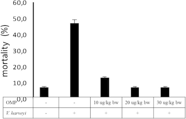 Cumulative mortality (%) of tiger shrimp after two times of boosters of OMP for 14 days againstV. harveyiinfection for 24 hours.