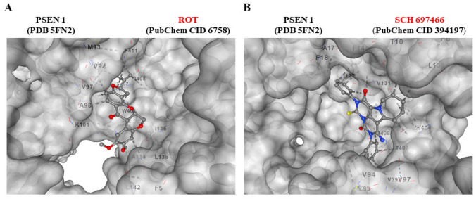 Rotenone binds to PSEN1/γ-secretase. A Representative CB-Dock2 3D images showing the molecular docking of PSEN1 (PDB: 5FN2) with rotenone compound. B Molecular docking of PSEN1 (PDB: 5FN2) with inhibitor SCH 697466 compound