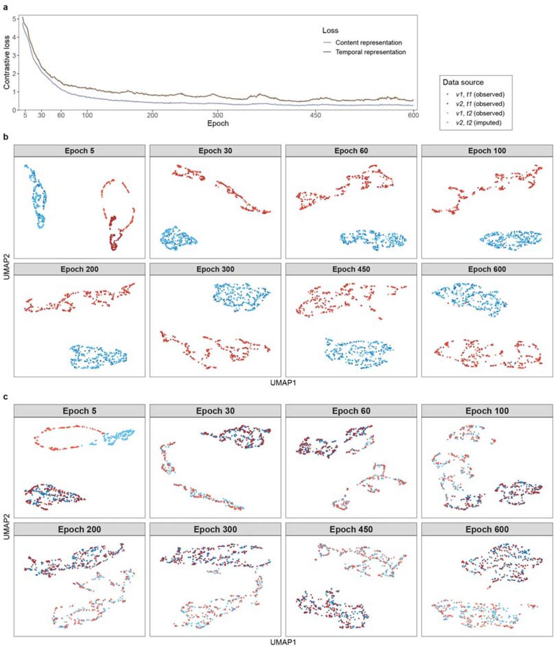 Contrastive loss and UMAP embeddings illustrate the representation disentanglement process of LEOPARD on the KORA multi-omics dataset.a, The NT-Xent-based contrastive loss is computed for content and temporal representations. b-c, UMAP embeddings of content (b) and temporal (c) representations at various training epochs are visualized for the KORA multi-omics dataset’s validation set. Representations encoded from data of ν1 and ν2 (metabolomics and proteomics, depicted by blue and red dots) at timepoint t1 and t2 (S4 and F4, depicted by dark- and light-colored dots) are plotted. The data of ν2 at t2 are imputed data produced after each training epoch, while the other data are from the observed samples in the validation set. LEOPARD’s content and temporal encoders capture signals unique to omics-specific content and temporal variations. In (b), as the training progresses, one cluster is formed by the data of ν2 at t1 and t2 (dark and light red dots), while the other cluster is formed by the data of ν1 at t1 and t2 (dark and light blue dots), indicating that the content encoder is able to encode timepoint-invariant content representations. Similarly, in (c), embeddings from the same timepoint cluster together. One cluster is formed by the data of ν1 and ν2 at t1 (dark blue and red dots), and the other is formed by the data of ν1 and ν2 at t2 (light blue and red dots). This demonstrates that LEOPARD can effectively factorize omics data into content and temporal representations.