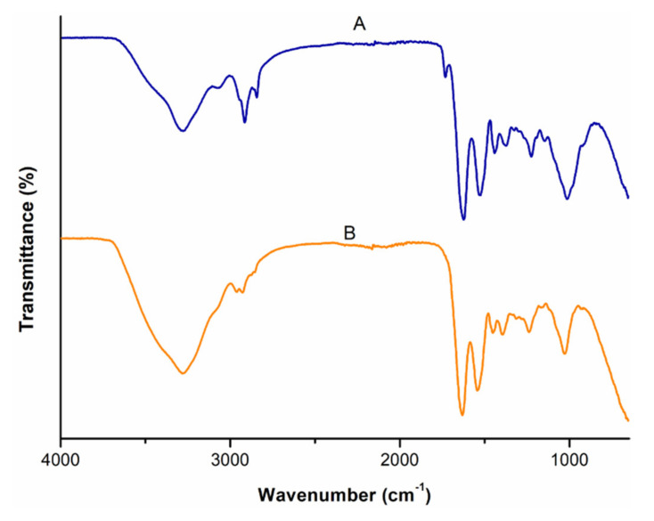 Changes in the FTIR spectra of the colorectal membrane recorded: (A): before permeation studies and (B): at the end of the permeation study.