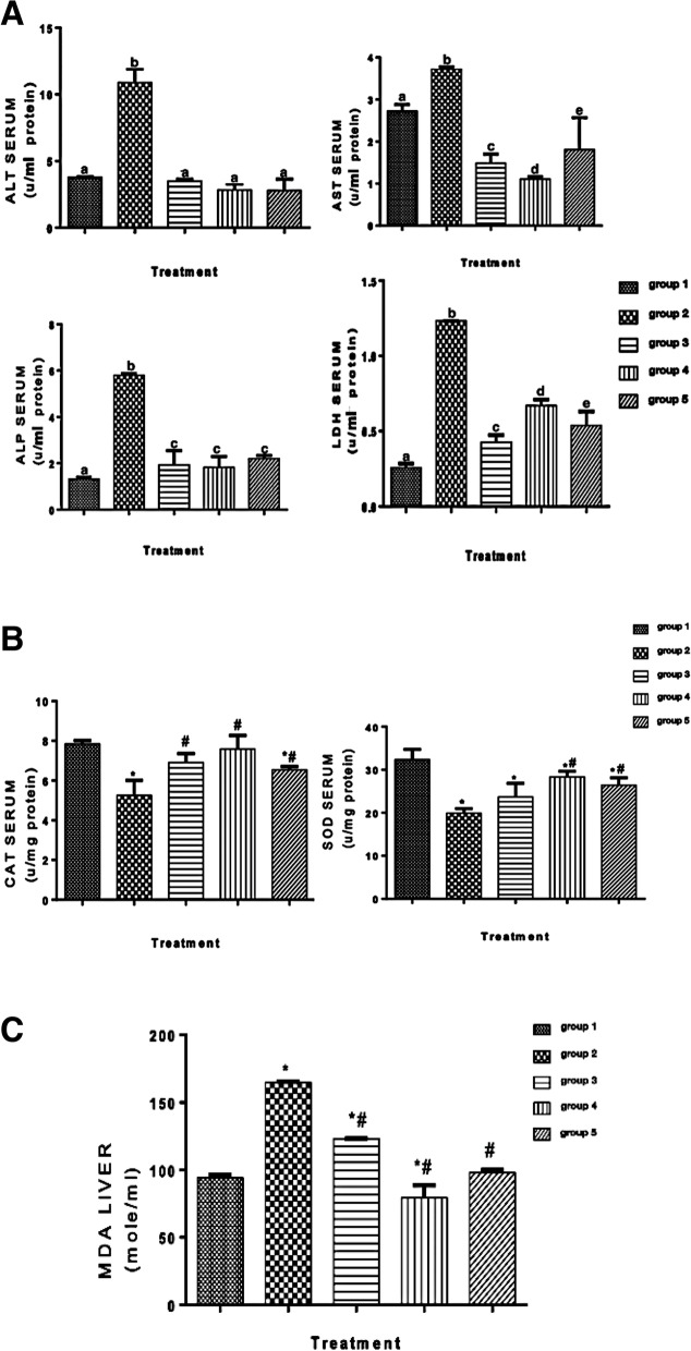 A Activities of liver function enzymes, ALT, AS, ALP, and LDH. Different letters on the bars show significant different. Significance is at p < 0.05. Significance is at p < 0.05. B Catalase and superoxide dismutase activities in the serum. *Significant difference when groups 2–5 are compared with group 1, # significant difference when groups 3–5 are compared with group 2. Significance is at p < 0.05. C MDA concentration in the liver. *Significant difference when groups 2–5 are compared with group 1, # significant difference when groups 3–5 are compared with group 2. Significance is at p < 0.05