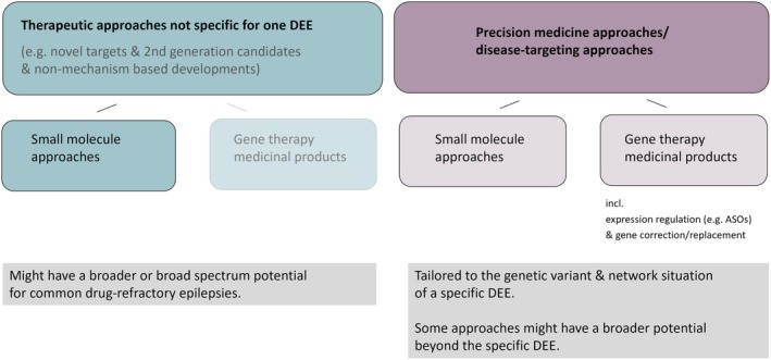 Categorization of drug development strategies for developmental and epileptic encephalopathies (DEEs). The boxes in the bottom row summarize the characteristics with regard to the potential for further indications from narrow to broad. ASOs, antisense oligonucleotides.