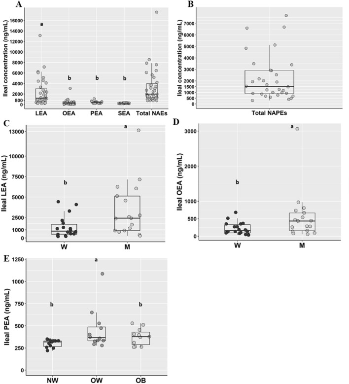 N-acylethanolamines (a) and N-acylphosphatidylethanolamines (b) concentrations in ileal fluids from the overall population (n = 35), LEA (c) and OEA (d) concentrations in ileal fluids from men (M, empty dots; n = 17) and women (W, solid dots; n = 18) and PEA (e) concentrations in ileal fluids from participants with normalweight (NW; n = 11), overweight (OW; n = 12) and obesity. Different letters on the box plots indicate p value < 0.05 by One-way ANOVA and Bonferroni adjustement for multiple comparisons or by Student’s t test. Total NAEs include the sum of LEA, OEA, PEA and SEA. LEA Linoylethanolamide, OEA oleoylethanolamide, PEA palmitoylethanolamide, SEA stearoylethanolamide, NAEs N-acylethanolammines, NAPEs N-acylphosphatidylethanolamines. The box plots show the data distribution based on first quartile, median and third quartile
