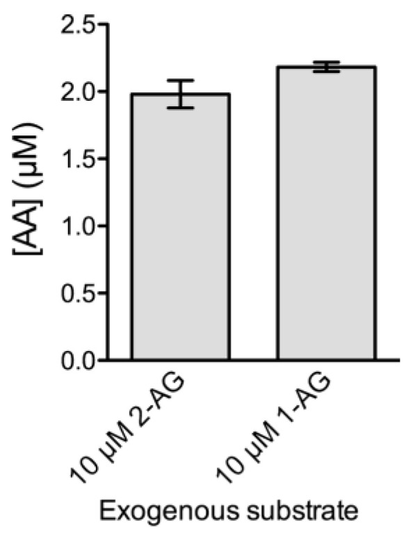 Accumulation of arachidonic acid (AA) during 30 min in 10 µg protein-containing nuclear matrix samples purified from intact cortical nuclei. 2-AG or 1-AG (both at 10 µM) were used as exogenous substrates. Data are mean ± SEM (n = 3).