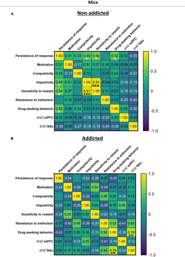 Correlation heatmap of the variables of cannabis addiction-like criteria, parameters related to craving and vulnerability phenotypic traits. (A,B) Pearson correlations between the three addiction-like criteria, the two parameters related to craving and the two phenotypic traits in both (A) “non-addicted” and (B) “addicted” groups (Pearson correlation, *p < 0.05, **p < 0.01, ***p < 0.001).