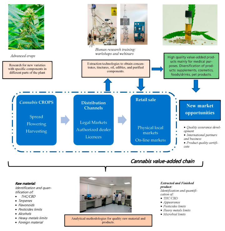 Perspectives on Cannabis value-added chain in Latin America include research on extractions techniques for cannabinoids to obtain diversification of high-quality products.