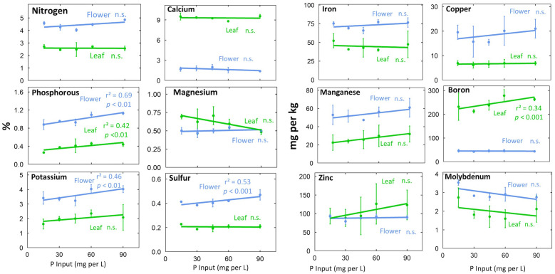 Effect of P concentration in the refill solution on tissue nutrient concentrations at harvest. Individual data points represent the mean of the two EC treatments (n=2) within each P treatment. Error bars represent standard deviation. The p-values represent the statistical significance of the relationship (slope of the line).