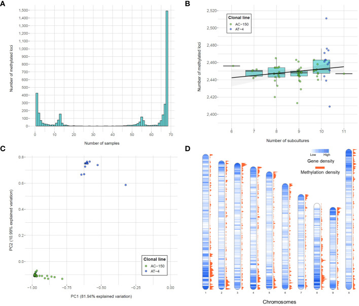 Number of methylated loci called from the CREAM libraries. (A) Frequency of methylated loci within the population. (B) Number of methylated loci per number of subcultures for both clonal lines (AC-150 line in green and AT-4 line in blue). (C) Principal component analysis (PCA) of methylated loci called from the CREAM libraries. Both clonal lines derived from two sister lines are clustered into two different groups. (D) Density of genes and methylated loci on the chromosomes of the cs10 cannabis reference genome in bins of 500 kb.