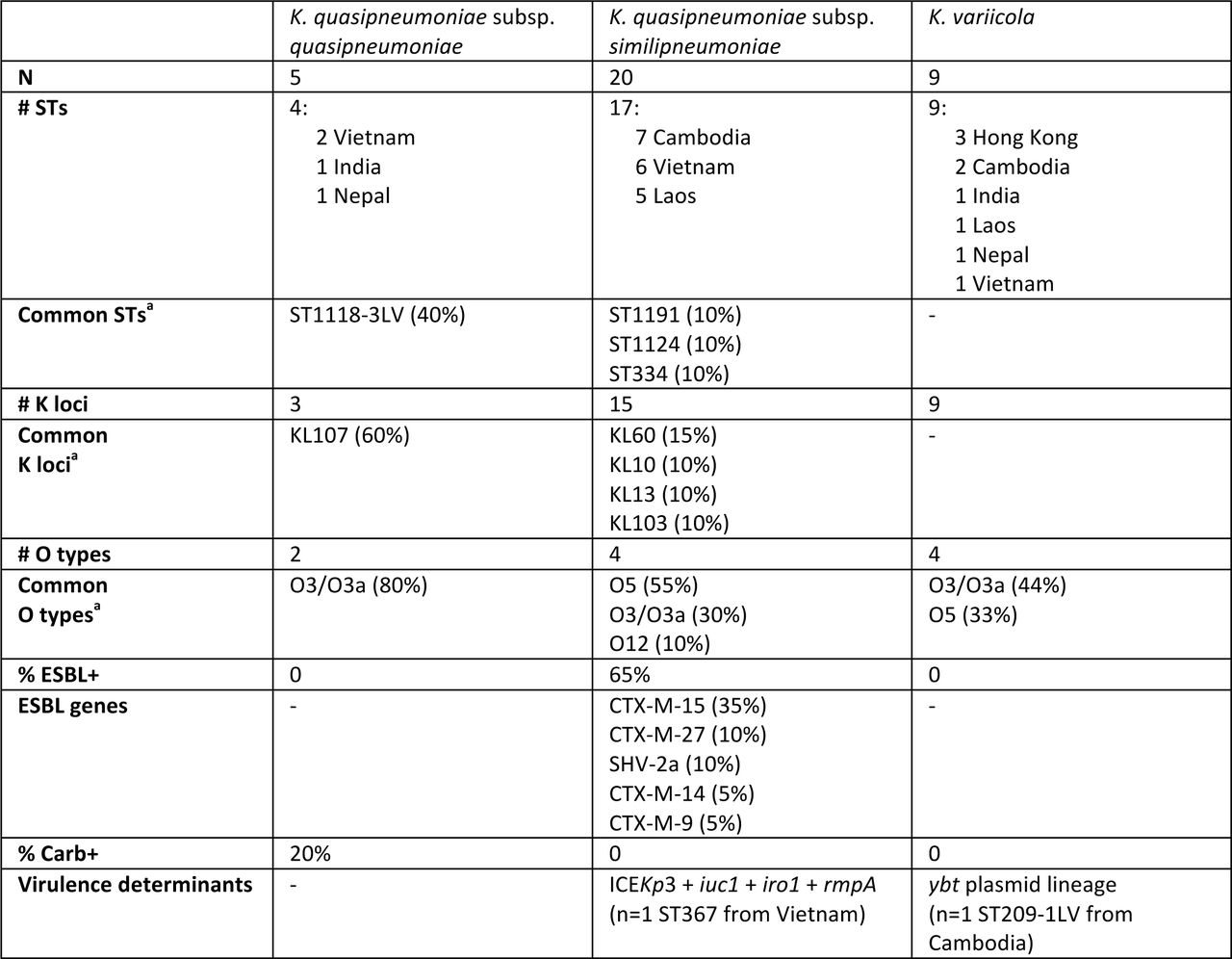 Characteristics of non-Kp BSI isolate genomesaOnly O types detected in >1 genome are shown.