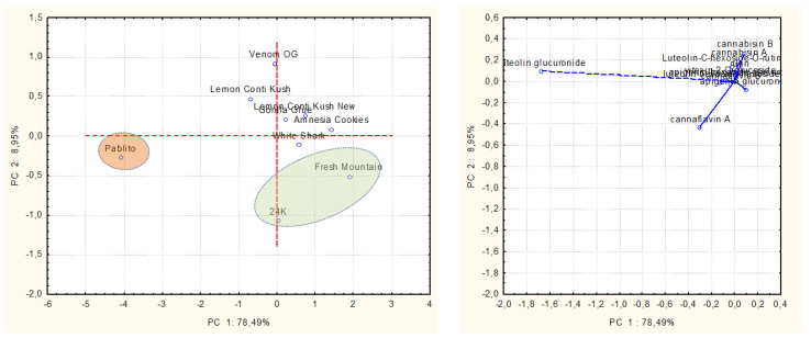 Representation of PCA score and loading plots reporting hemp varieties and the main polyphenols in UM.
