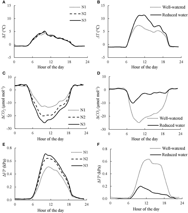 Diurnal courses of canopy chamber effects on air temperature (ΔT), CO2 concentration (ΔCO2), and vapor pressure (ΔVP) under different nitrogen (A,C,E) and water (B,D,F) regimes. Data presented in A,C,E is the average of 3 days in CAN1. N1, N2, and N3 denote the level of received nitrogen, see text for details. Data presented in B,D,F is the average of the last consecutive 3 days in CAN2.