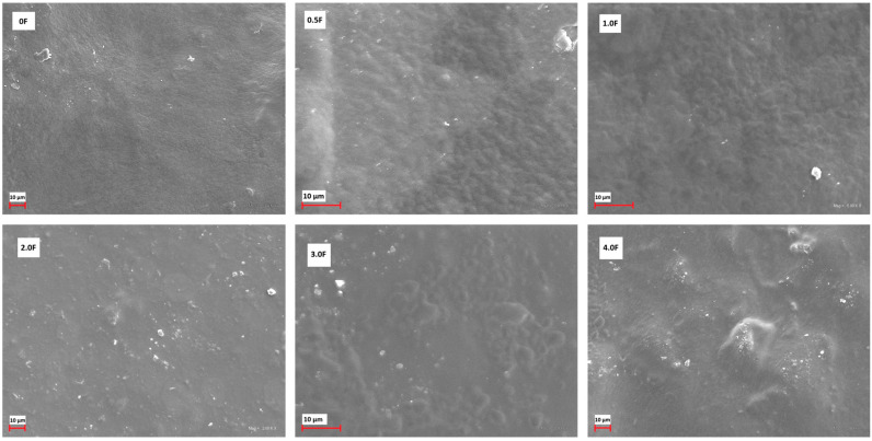 SEM images for active films: 0 F, 0.5 F, 1.0 F, 2.0 F, 3.0 F and 4.0 F.