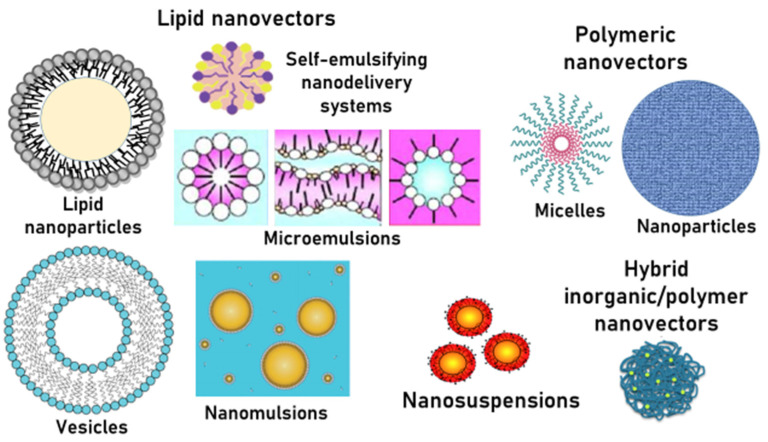 Nanosuspensions and polymeric, lipid-based, and hybrid nanocarriers.