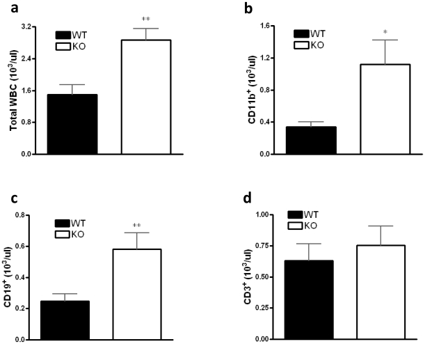 Effect of CB2 receptor inactivation on the leukocyte cell subsets in the blood during CLP.Numbers of total white cell (a), as well as CD11b+ (b), CD19+ (c), and CD3+ (d) cells were monitored in blood by flow cytometric analysis after 16 hours of sepsis induced by CLP. Data are the mean±SEM of n = 6–9 mice per group. *p<0.05; **p<0.01.