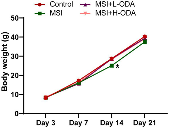 Effects of neonatal ODA supplementation on body weight of MSI–exposed offspring rats. n = 7–8 rats per group. Data are presented as the mean ± SEM. *p < 0.05 versus the control group. L-ODA, 5 mg/(kg · day) oleamide; H-ODA, 25 mg/(kg · day) oleamide; MSI, maternal sleep interruption.