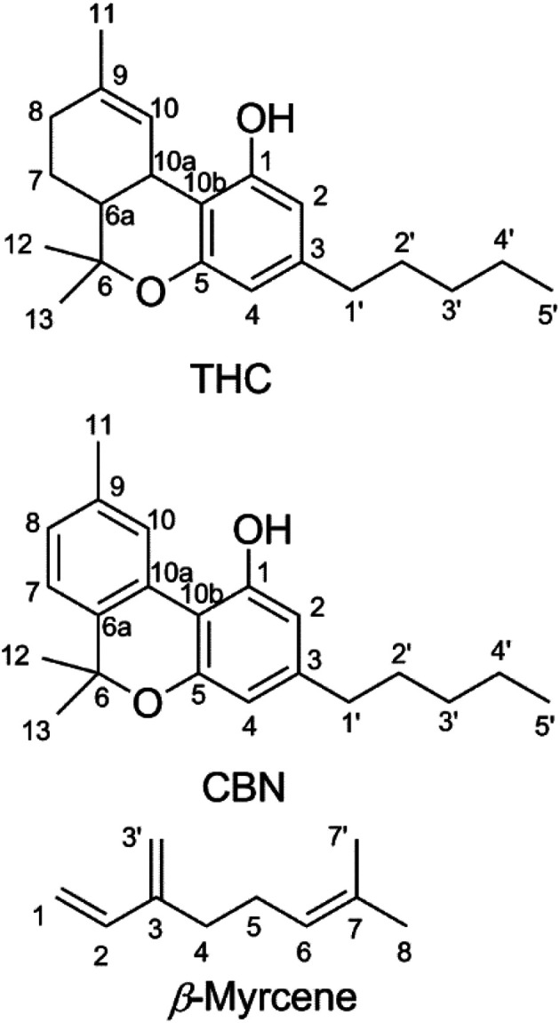 Chemical structures of Δ9-tetrahydrocannabinol (THC), cannabinol (CBN), and β-myrcene shown with carbons numbered.