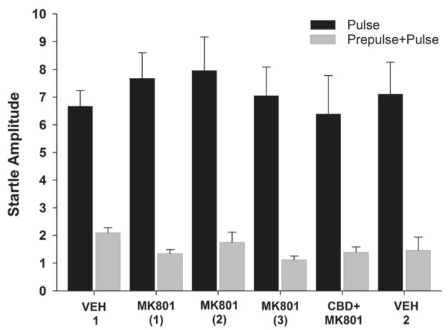 Mean (+SEM) startle amplitude of the capuchin monkeys (n = 7) in the pulse (black bars) and prepulse-pulse trials (gray bars) after vehicle administration (VEH 1), the injections of MK-801 (1–3) held once a week during three consecutive weeks, the CDB pre-treatment followed by a MK-801 treatment (CBD+MK801) held on the 4th week, and the second vehicle administration (VEH 2) performed on the 6th week. Except for VEH 1, held during Experiment 1, all other data were recorded during Experiment 2.