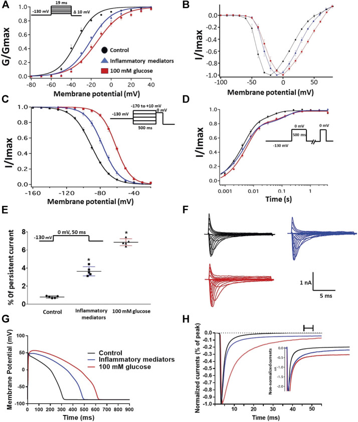 (A) Effect of a cocktail of inflammatory mediators or 100 mM glucose or their vehicle (for 24 h) on conductance curve of Nav1.5 transfected CHO cells with the insert showing the protocol (n = 5, each). (B) IV curves (C) Effect of a cocktail of inflammatory mediators or 100 mM glucose or their vehicle (for 24 h) on SSFI of Nav1.5 transfected CHO cells with the insert showing the protocol (n = 5, each). (D) Effect of a cocktail of inflammatory mediators or 100 mM glucose or their vehicle (for 24 h) on recovery from fast inactivation of Nav1.5 transfected CHO cells with the insert showing the protocol (n = 5, each). (E) Effect of a cocktail of inflammatory mediators or 100 mM glucose or their vehicle (for 24 h) on the percentage of persistent sodium currents of Nav1.5 transfected CHO cells with the insert showing the protocol (n = 5, each). (F) Representative families of macroscopic currents. (G) In silico action potential duration of Nav1.5 transfected CHO cells incubated in inflammatory mediators or 100 mM glucose or the vehicle for 24 h. (H) Representative persistent currents across conditions. Currents were normalized to peak current amplitude. Bar above current traces indicates period during which persistent current was measured. Inset shows non-normalized currents. *p < 0.05 vs. corresponding “Control” values using one-way ANOVA along with post hoc testing.