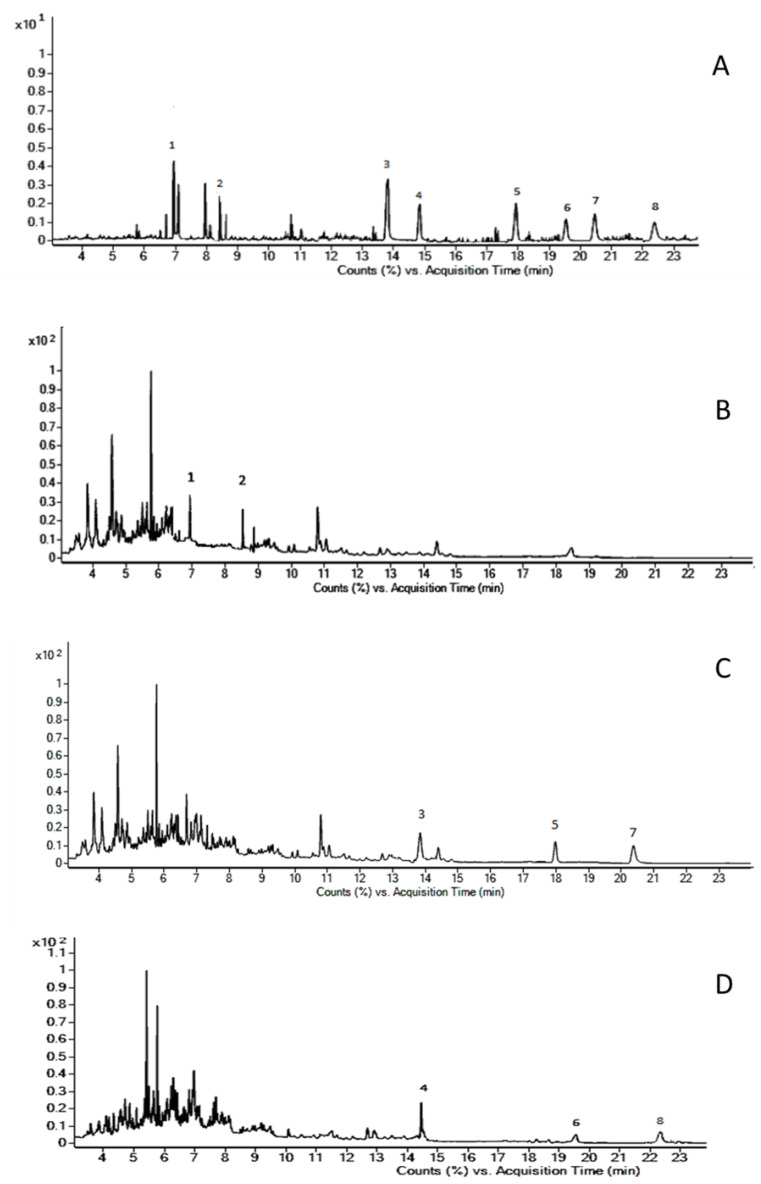 Gas chromatography-mass spectrometry (GC-MS) total ion chromatograms of: (A) Extract of 1 mL drug-free urine spiked with 0.3 ng of UR-144 (1), UR-144 N-(5-hydroxypentyl) (2), JWH-122 (3), JWH-210 (4), JWH-122 N-(4-hydroxypentyl) (5), JWH-210 N-(4-hydroxypentyl) (6), JWH-122 N-(5-hydroxypentyl) (7) and JWH-210 N-(5-hydroxypentyl) (8). (B) Urine sample positive to UR-144 (1) and UR-144 N-(5-hydroxypentyl) (2); (C) Urine sample positive to JWH-122 (3), JWH-122 N–(4-hydroxypentyl) (5) and JWH-122 N-(5-hydroxypentyl) (7); (D) Urine sample positive to JWH-210 (4) and JWH-210 N-(4-hydroxypentyl) (6) and JWH-210 N-(5-hydroxypentyl) (8).