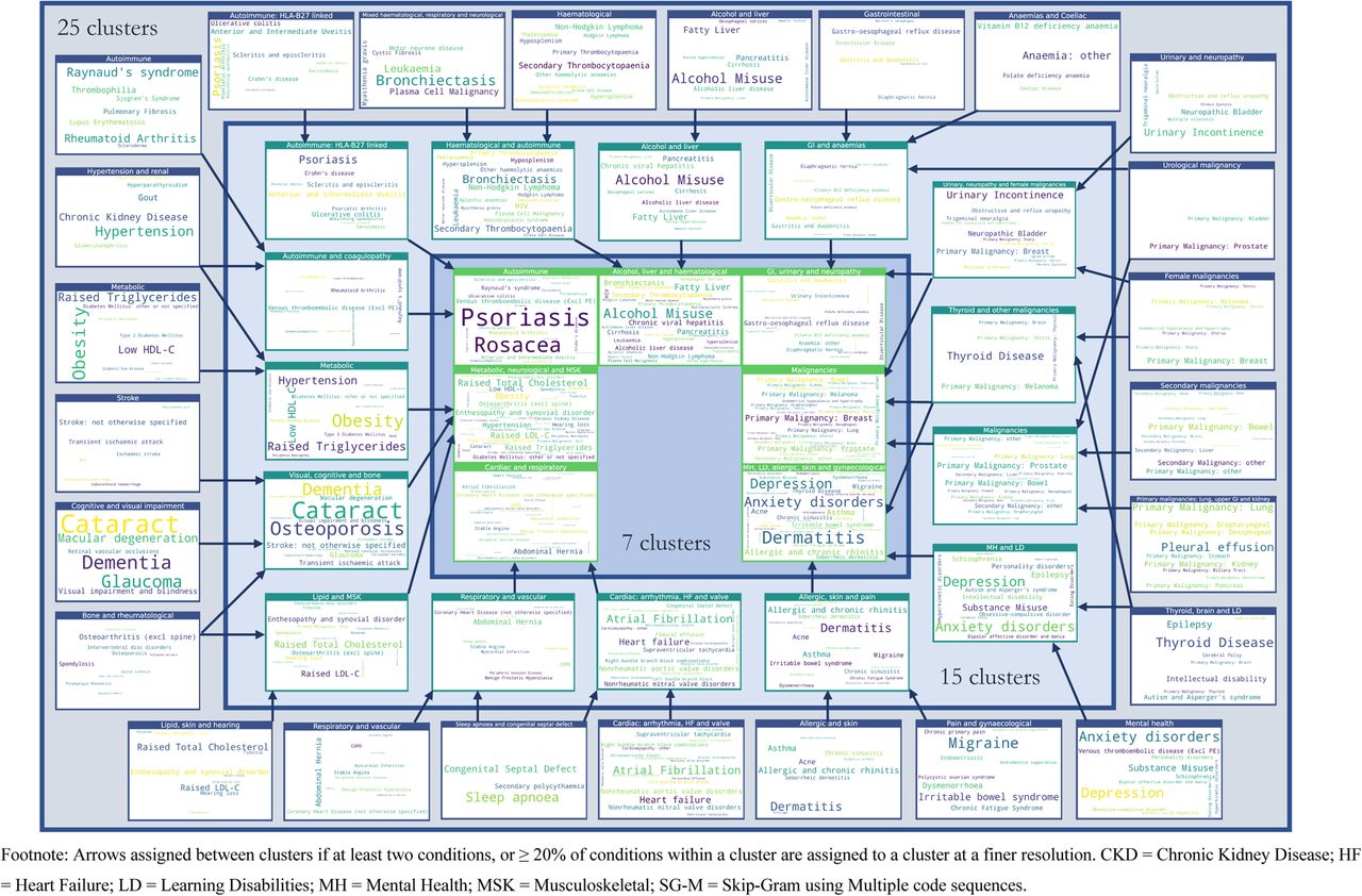 Assignment of diseases to clusters at resolutions of 25, 15 and 7 clusters, using SG-M embeddings