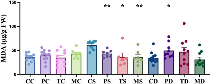 Impact of endophytic fungi on the concentration of malondialdehyde (MDA) in hemp leaves under non-stress, salinity and drought stress conditions.The first letter; C = control, no fungus, P = with Pochonia chlamydosporia, T = with Trichoderma harzianum, M = with Metarhizium robertsii. The second letter; C = control, non-stress, S = salt stress, D = drought stress. Data were analyzed according to the description of statistical analysis. Statistical differences are shown; *P < 0.05, **P < 0.01, ***P < 0.001. Asterisk indicates significant differences in the tested group when compared to that of the un-inoculated control under the same conditions. The dots represent results of the individual biological replicates. Error bars represent standard error of the means.