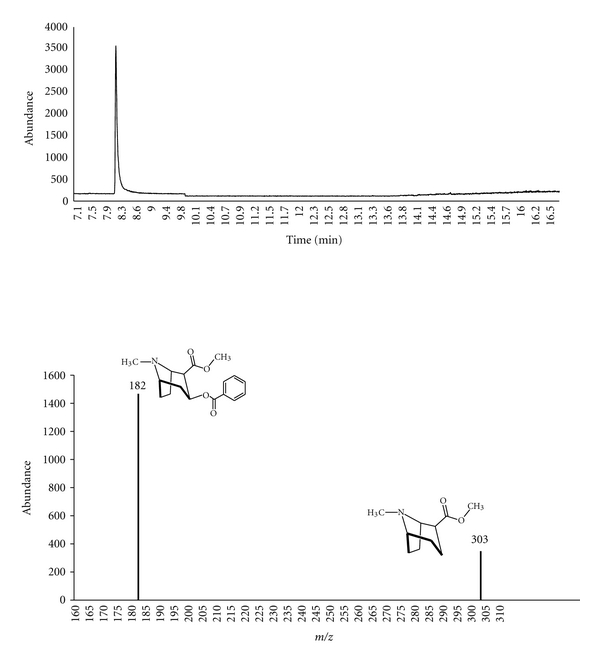 GC-MS chromatogram and fragmentation pathway of cocaine.