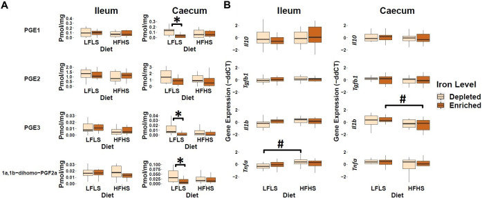 Response of intestinal prostaglandins and mRNA gene expression of immune response in Fe-depleted and Fe-enriched LFLS or HFHS diets in the intestine. Boxplot representation of the eCBome mediators in (A) ileum and (B) caecum. mRNA expression of immune response as fold change (FC) calculated using the ΔΔCT method in Fe-depleted and Fe-enriched LFLS or HFHS diets in the intestine, ileum, and caecum. Data are expressed as the mean ± SEM (n = 12). P values of linear contrast analysis are detailed when significant (p < 0.05) using contrast tests between enriched and depleted Fe levels, LFLS and HFHS formulations and the combination between Fe levels and formulations. Gene expression was normalized to Hprt. The star ‘*’ symbol was used to show the effect of Fe alone or in interaction with LFLS or HFHS. The numeral ‘#’ symbol was used to denote the effect of only LFLS or HFHS. The samples were analysed at day 28 of the study.