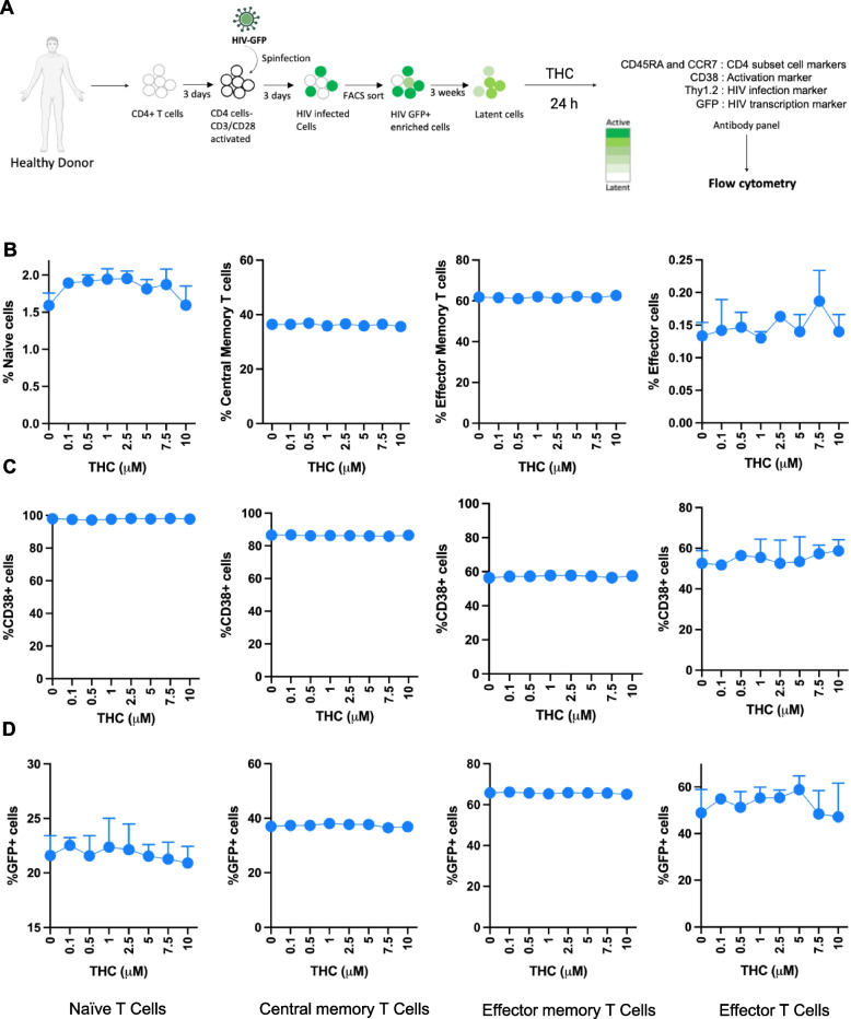 Impact of THC on cell surface marker phenotype and HIV expression in latently infected primary CD4 T cells. Latently infected CD4 T cells were exposed to THC at different concentrations for 24 h. At 24 h post exposure, we quantified the distribution of different CD4 T cell subsets, expression of activation marker, CD38, and HIV (GFP) expression. Cell subsets were assigned by expression of the phenotype surface markers, CD45RA and CCR7– Tn: CD45RA +/CCR7 +, Tcm: CD45RA-/CCR7 +, Tem: CD45RA-/CCR7-, Teff: CD45RA +/CCR7-. A Schematic of latently infected CD4 + T cell generation, pooling and THC stimulation followed by flowcytometry. B Abundance of CD4 T cell subsets—naïve (Tn), central memory (Tcm), effector memory (Tem) and effector (Teff) subsets at 24 h post THC administration/exposure. C Frequency of expression for the immune surface marker CD38 within CD4 T cells subsets (Tn, Tcm, Tem, and Teff cells). D Expression of eGFP (HIV) within CD4 T cells subsets (Tn, Tcm, Tem, and Teff cells). None of the samples achieved statistical significance relative to unexposed control cells