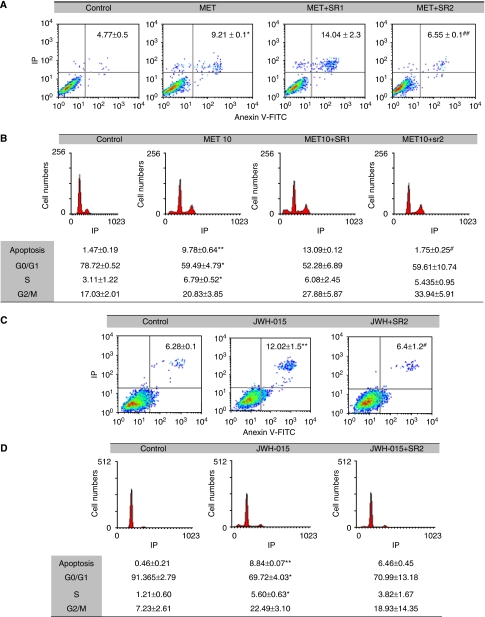 Inhibition of cannabinoid-induced cell death by the CB2 antagonist, SR 144528 (SR2). PC-3 cells were incubated with 10 μM MET or 10 μM JWH-015 for 48 h in the presence or absence of 0.5 μM Rimonabant (SR1) or 2 μM SR2. Apoptosis was assayed by Annexin V-FITC/IP staining (panels A and C) and cell cycle was measured by IP staining (panels B and D). Representative plots are shown in the figure and data are the mean±s.e. of three different experiments, each performed in duplicate. *P<0.05 and **P<0.01 using Student's t-test for the comparison between vehicle-treated and cannabinoid-treated cells, and #P<0.05 and ##P<0.01 for the comparison between cannabinoid-treated and antagonist-treated cells.