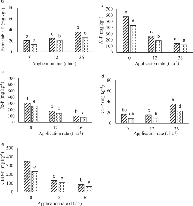 Phosphorus fractions at different application rates of lime at 112 days of incubation in the Eston soil. Figure A, B, C, D and E indicates soluble-P, Al-P, Fe-P, Ca-P and CBD-P, respectively. Lime was applied at a rates of 0, 12 and 36 t ha−1 at different depth of 0–10 and 10–20 cm. Diagonally striped bars and vertically dashed bars represent 0–10 and 10–20 cm depth, respectively. Bars with same letters are not significantly different.