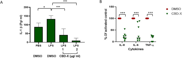 Western blot analysis and bar graphs examine the phosphorylation of p-P65 and p-Akt in different treatments. Panel A shows bands for p-P65, P65, p-Akt, and Akt under conditions PBS, LPS, and varying concentrations of CBD-X. Panels B and C show bar graphs quantifying the phosphorylation percentages of P65 and Akt, respectively, with statistical significance indicated.