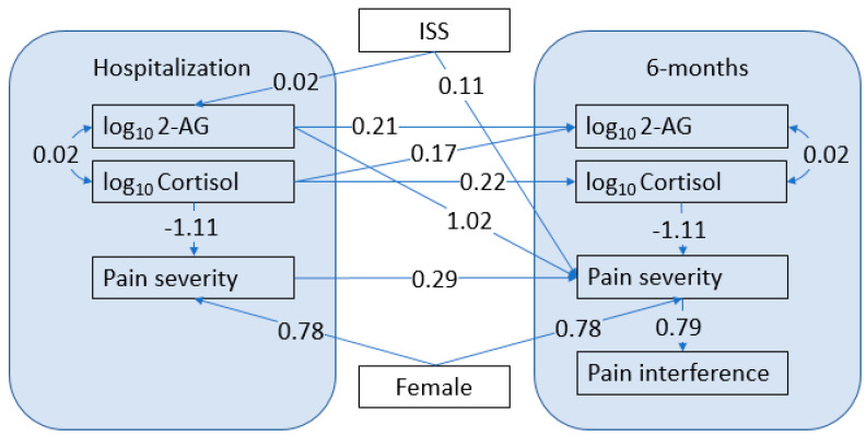 Model of the Relationship of Traumatic Pain, Cortisol, and Endocannabinoid Levels. The numbers on the arrows are regression coefficients, representing the effect of a 1-unit increase in the predictor on the outcome. For the log-transformed biomarkers, a 1 unit increase on the log scale corresponds to a 10-fold increase in the original value. All coefficients shown are significant with p < 0.05.