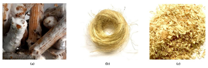Mycelium-infused wood plugs (a), hosting materials: hemp fibers (b), wood chips (c).