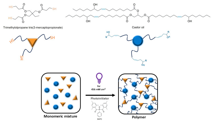 Chemical structure of monomers and photoinitiator used for thiol-ene formulation and photopolymerization reaction.