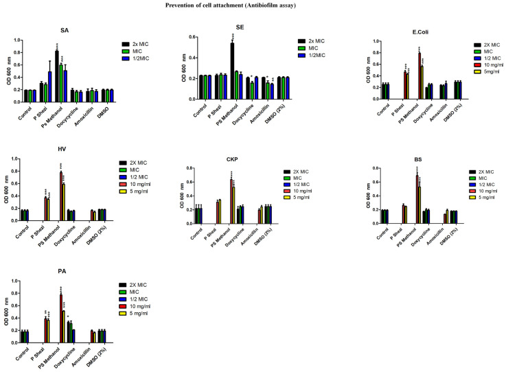 Effects of boiled water and methanol extracts of PS on biofilm formation by S. aureus, S. epidermidis, E. coli, P. aeruginosa, B. subtilis, K. pneumoniae, and cK and K. pneumoniae HV after 24 h of treatment. Both extracts of PS had no inhibitory effects on biofilm formation but were shown to promote biofilm formation in most of the microorganisms. Experiments were conducted in triplicate and repeated in three independent studies (n = 9). Statistical analysis was conducted using one-way ANOVA followed by Tukey’s post hoc test, where * p < 0.05, ** p < 0.01 and *** p < 0.001 compared to the untreated control.