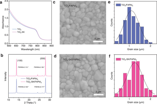 a) UV–vis absorption spectra of the TiO2/FAPbI3 and TiO2‐SK/FAPbI3 films. b) X‐ray diffraction (XRD) patterns of the TiO2/FAPbI3 and TiO2‐SK/FAPbI3 films. c,d) canning electron microscope (SEM) images of the TiO2/FAPbI3 and TiO2‐SK/FAPbI3 films. e,f) Crystal grain size distributions of the TiO2/FAPbI3 and TiO2‐SK/FAPbI3 films.