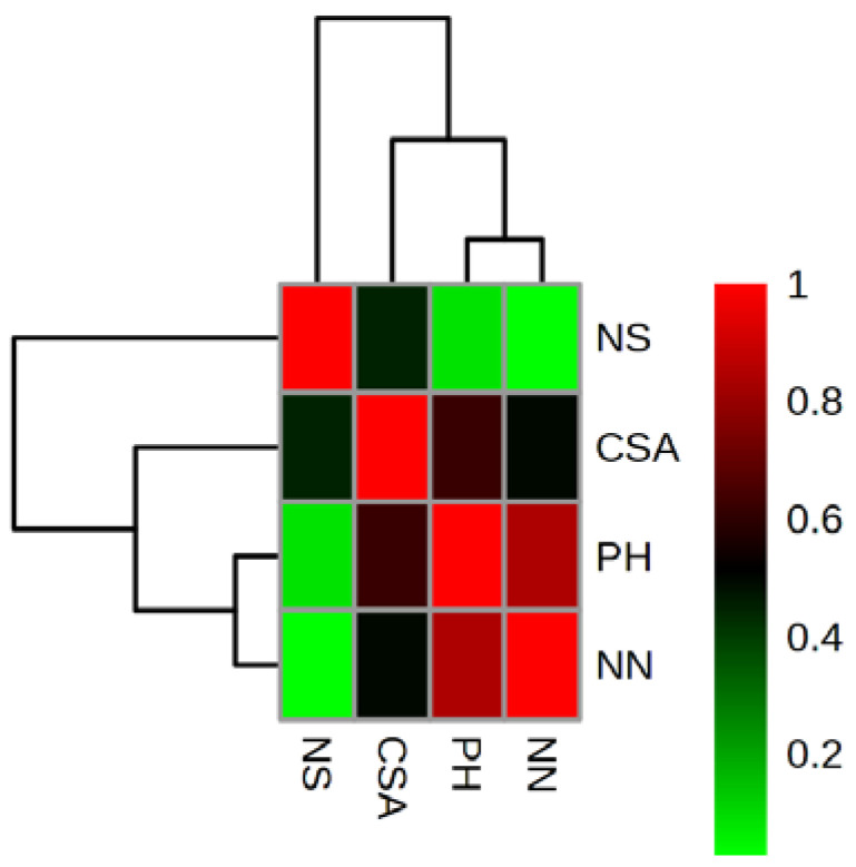 Heat map correlation among the in vitro morphological parameters (plant height (PH), number of nodes (NN), number of shoots (NS), and canopy surface area (CSA)) during in vitro prolonged culture of cannabis explants derived from different parts of the greenhouse-grown mother plant.