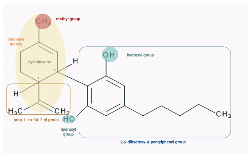 The chemical structure of CBD consists of a cyclohexene ring substituted with a methyl group at C1 (red circle), a 2,6-dihydroxy-4-pentylphenyl moiety at C3 (blue rectangle), and a prop-1-en-2-yl group at C4 (brown rectangle). Key functional groups involved in its activity, including the phenolic hydroxyl groups (blue circle) and the limonene-derived moiety (orange circle) are highlighted. Shorter alkyl side chains attached to the phenolic ring may decrease the CB1/CB2 binding affinity, whereas longer chains (e.g., hexyl, heptyl and octyl) could enhance it. Etherification or removal of the phenolic hydroxyl group could lead to an increase in CB2 selectivity. Moreover, shorter side chains may reduce CB receptor activity, whereas longer chains may increase pharmacological potency. Also, modifications of the phenolic hydroxyl group could markedly alter activity [12].