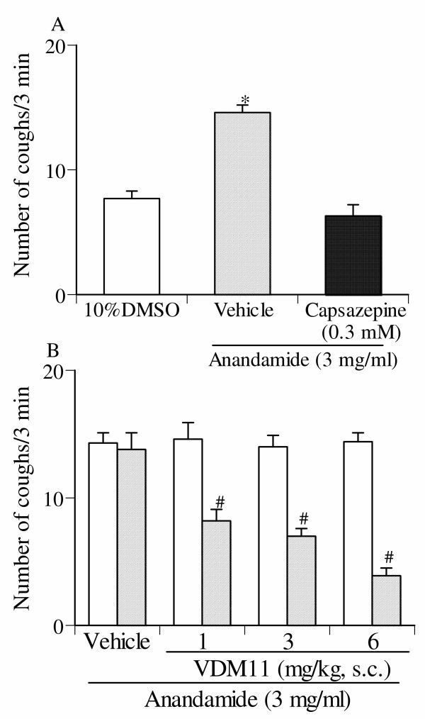 Effect of capsazepine (A) and VDM11 (B) on high dose (3 mg/ml) anandamide-induced reduction of the number of coughs. Capsazepine was given by aerosol for 4 min before the inhalation of anandamide. The antitussive effect of VDM11 (10 mg/kg) was assessed 60 min after subcutaneous administration. Each column represents the mean with S.E. of 10 mice in each group. *P < 0.05 vs. vehicle (10% DMSO)-inhaled group. #P < 0.05 vs. respective pre-value.