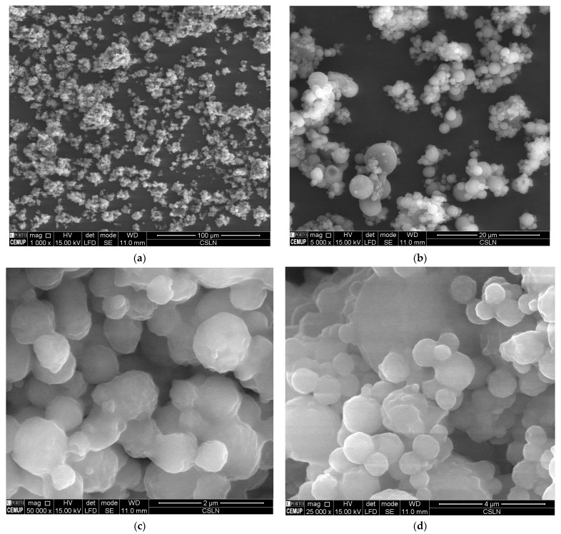 Scanning electron microscopy analysis of CBD-loaded cSLN at different resolutions, (a) 1000×, (b) 5000×, (c) 25,000×, and (d) 50,000×.
