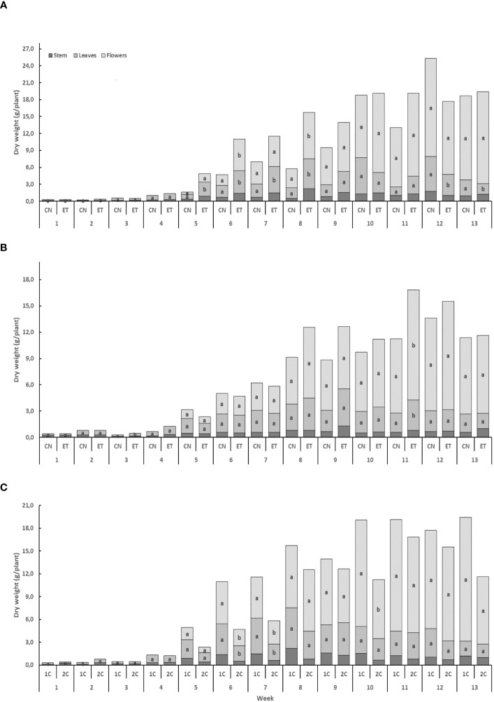 The effect of the augmented nutritional regime and growing nutritional cycle on indoor-cultivated cannabis plant biomass. Dry biomasses of stems, leaves, and flowers in control (CN) and enhanced treatment (ET) plants with augmented nutritional regime in recirculation (1C) growing cycle (A), in drain-to-waste (2C) growing cycle (B), ETs in 1C and 2C (C). Data are means (n = 3). The different small letters inside the bars and small bold letters above the bars represent significant differences within the indoor-cultivated cannabis plant organs (leaves and flowers) and the whole plant biomass between the variants in a particular week according to Tukey’s HSD test at α = 0.05.