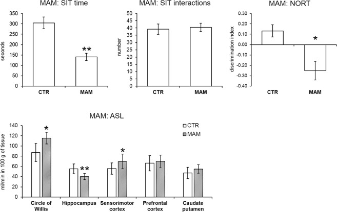 Behavior and cerebral blood perfusion in the MAM model. The bar graphs indicate the mean ± SEM of all variables. MAM rats spent shorter time by social interactions in the SIT but the number of interactions did not differ. The short-term recognition memory deficit in the MAM rats detected by NORT is apparent by a decreased discrimination index. In the analysis of regional blood perfusion MWU test revealed significantly higher perfusion of circle of Willis, and sensorimotor cortex in the MAM animals while hippocampus perfusion was lower (*p ≤ 0.05, **p ≤ 0.01).