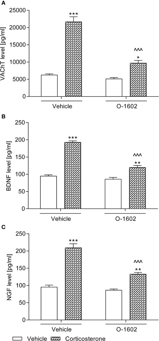 Influence of the 7-day intravenous administration of O-1602 (0.25 mg/kg/day) on the levels of (A) vesicular acetylcholine transporter (VAChT) in the bladder detrusor muscle, and (B) brain-derived neurotrophic factor (BDNF) with (C) nerve growth factor (NGF) in urine of rats subjected to the 14-day corticosterone treatment (20 mg/kg/day, subcutaneously). The values represent the mean + SEM (n = 15 animals per group). *p < 0.05, **p < 0.01, ***p < 0.001 versus vehicle-treated group, ^^^p < 0.001 versus corticosterone-treated group (Bonferroni’s post hoc test).