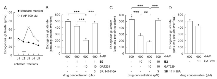 Allosteric modulation of B2: inhibition of the evoked glutamate release from hippocampal nerve terminals in superfusion experiments. (A) A representative time-course for the release of endogenous glutamate from nerve terminals is shown. 4-AP was added (2 min; black bar) during superfusion; other experimental details in Materials and Methods. (B,C) Pharmacological characterization of the novel CB1R agonist B2: inhibition of 4-AP-evoked efflux of endogenous glutamate; antagonism by SR14176A; effectiveness of the CB1R allosteric modulator GAT229 on the B2-mediated inhibition. Bars represent the overflow (pmol/mg protein) of endogenous glutamate in the presence of the drugs at the indicated concentrations. 4-AP was added (2 min) during superfusion: SR141716A, B2 and GAT229 were added starting 8 min before the depolarizing stimulus. (D) GAT229 at the used concentrations did not affect the 4-AP-evoked endogenous glutamate release. Data are means ± SD (bars) of n = 3–6 independent experiments performed in duplicate or triplicate. *** p < 0.001 and ** p < 0.01; one-way ANOVA followed by Bonferroni’s post hoc test.