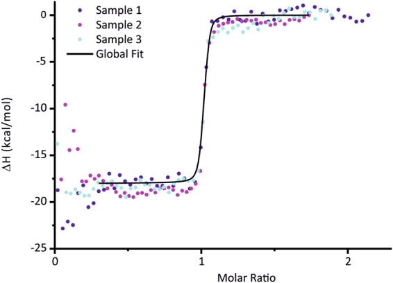 Analysis of the protein-protein interaction between CHP3 and MBP-CBD using isothermal calorimetry. Results of ITC experiments with biological triplicates, injecting CHP3 into MBP-CBD at 25 °C. The curves were subjected to a triple-shift correction (see ESI for details) assuming n = 1 and yielding KD = 3.0 nM, 〈ΔH〉 = −75.3 kJ/mol, and individual active concentrations [CHP3] and [MBP-CBD] (see Supplementary Table S1). Data in the beginning of the experiments suffered from increased baseline noise and were excluded from the fit (see range of black curve of global fit).