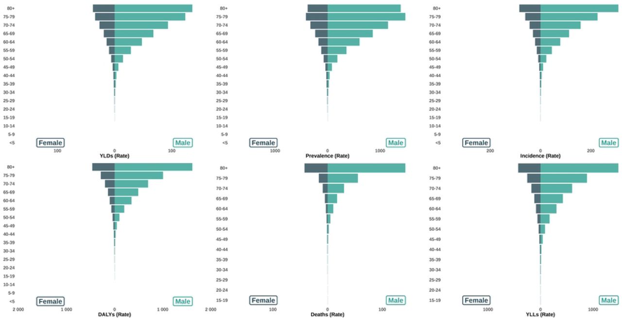 Population pyramids visualizing age-gender distribution of bladder cancer burden rates in the U.S.Abbreviations: DALYs: Disability-Adjusted Life Year; YLDs: Years Lived with Disability; YLLs: Years of Life Lost
